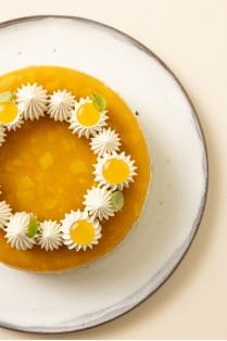 ∗ Ichika ∗ Maxime Raiffé, Meilleur Apprenti de France